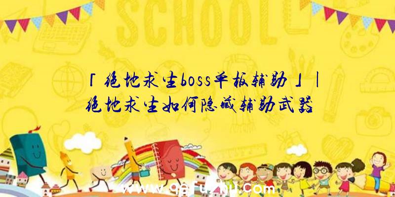 「绝地求生boss单板辅助」|绝地求生如何隐藏辅助武器